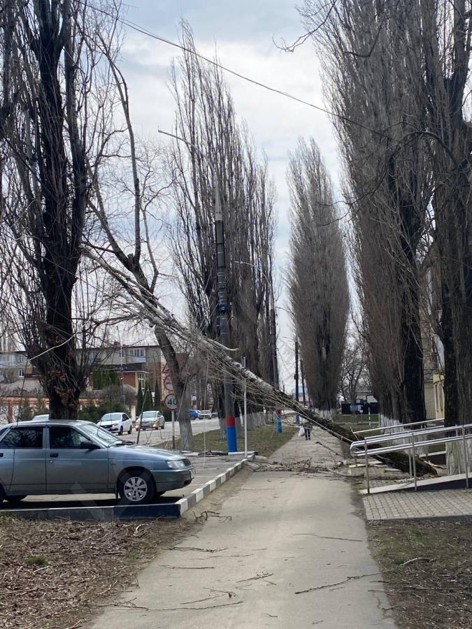 Сильный ветер в Армавире - купить на сайте объявлений Армавир онлайн