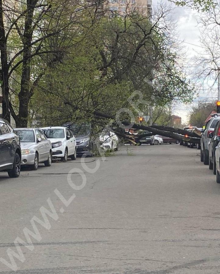 В Краснодаре сегодня ветренно - купить на сайте объявлений Краснодар онлайн