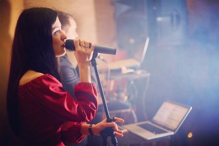 Музыкальное сопровождение. Поющий Dj. Женский и му  Армавир