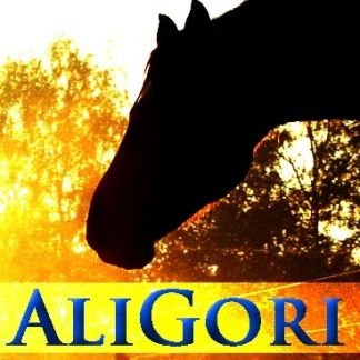 Конные прогулки в Молькино  Армавир