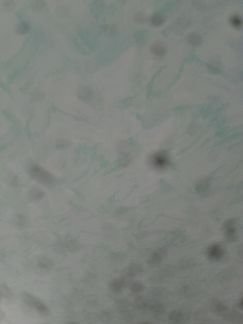 Ремонт  Армавир