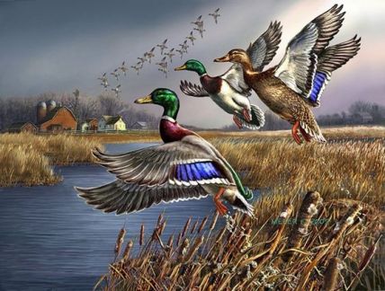 База отдыха охотников и рыболовов простоквасино  Армавир