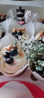 Капкейки на заказ  Армавир