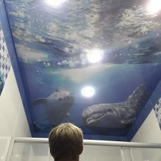 Натяжные потолки  Армавир