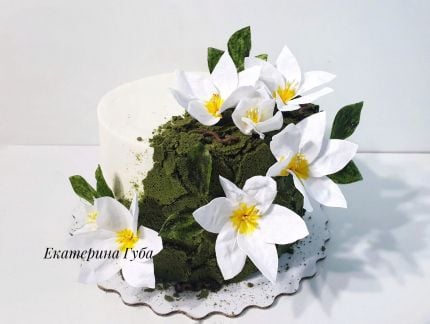 Торты на заказ  Армавир