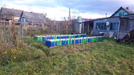 Натуральный мед  Армавир