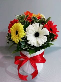 Цветы  Армавир