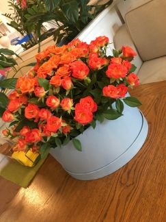 Цветы, композиции из цветов и иного  Армавир