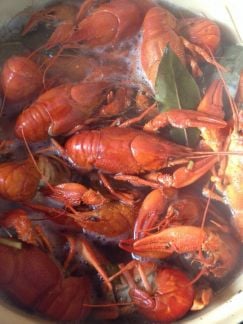 Продаю живые и варенные Раки  Армавир