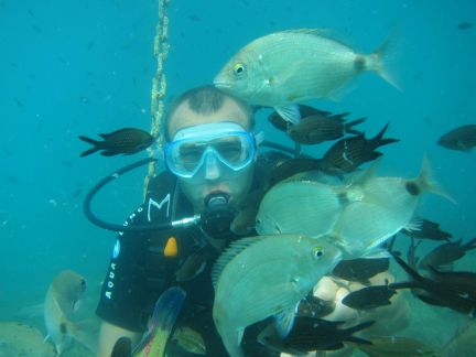 Подарочный сертификат на день рождения  Армавир