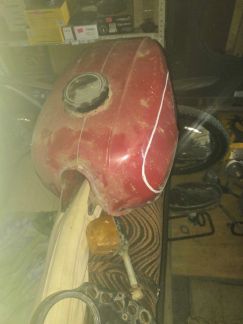 Днепр мт омакс альфа  Армавир