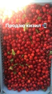 Кизил  Армавир