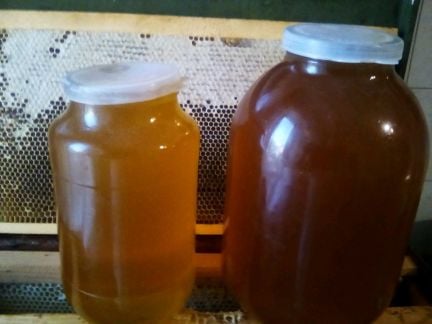 Мед и медовые соты  Армавир