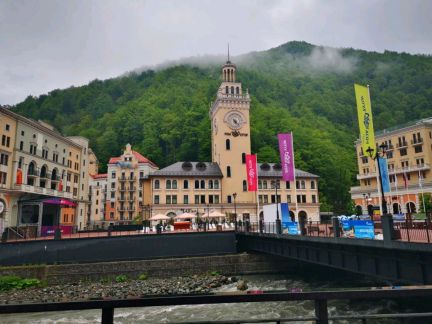 Роза хутор Выше облаков  Армавир