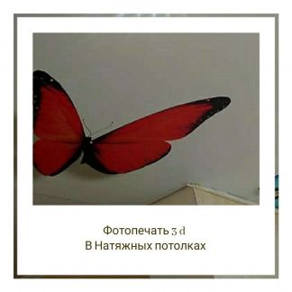 Натяжные потолки  Армавир