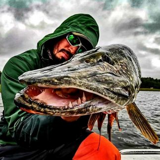 Рыбалка  Армавир