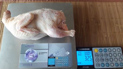 Продажа перепелок яиц и перепелинного помета (смеш  Армавир