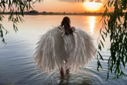 Крылья Ангела, в аренду и на заказ  Армавир