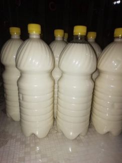 Молоко  Армавир