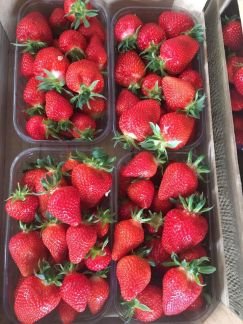 Клубника оптом  Армавир