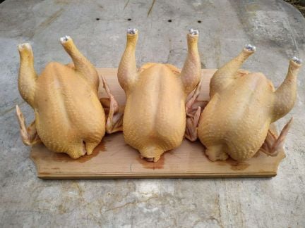 Домашние куры  Армавир