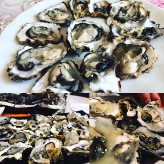 Устрицы  Армавир