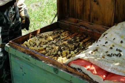 Мед, 06.06.20  Армавир