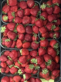 Доставка свежих овощей и фруктов  Армавир