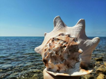 Отдых на Черноморском побережье  Армавир