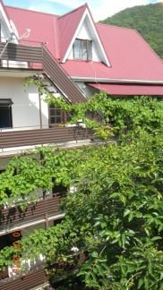 Отдых в Сочи п.Макопсе  Армавир