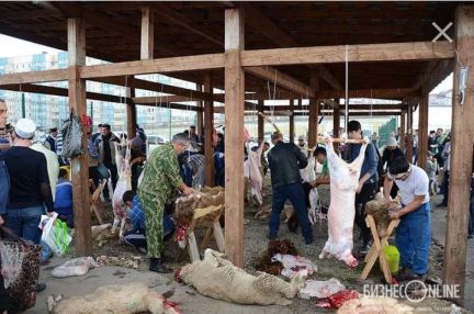 Услуги разбор Баран  Армавир