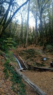 Экскурсия 33 водопада  Армавир