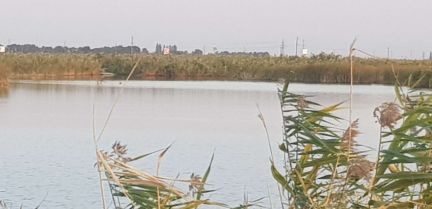 Рыбалка на прудах  Армавир