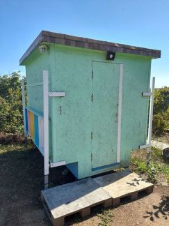 Сон на пчёлах  Армавир