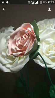 Ростовые цветы на прокат  Армавир