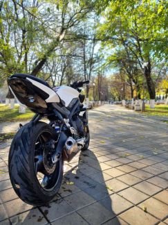 Triumph street triple 675  Армавир