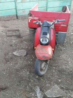 Муравей  Армавир