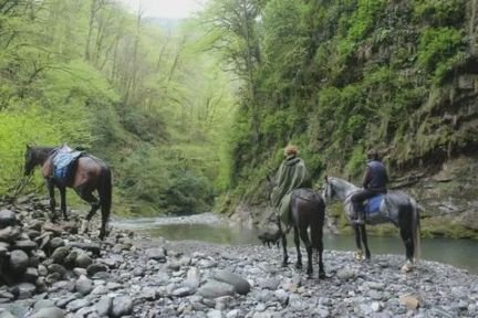Конные прогулки  Армавир