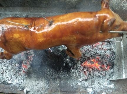 Молочный поросенок на вертеле  Армавир