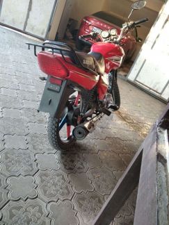 Продаю сабур  Армавир