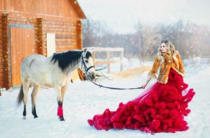 Конные прогулки в Новодмитриевской  Армавир