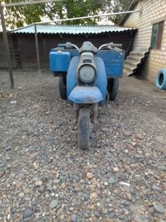 Муравей  Армавир