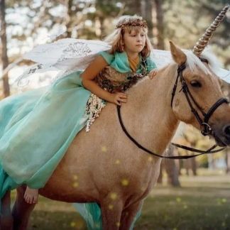 Фотосеты и прогулки верхом на пони заказ на празни  Армавир