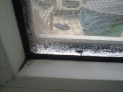 Осушение (сушка стен,стяжки) квартир после ремонта  Армавир