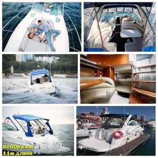 Аренда Яхты. Яхт клуб Белый дельфин  Армавир