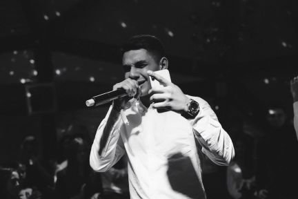 Ведущий+DJ на свадьбу, день рождения, корпоратив  Армавир