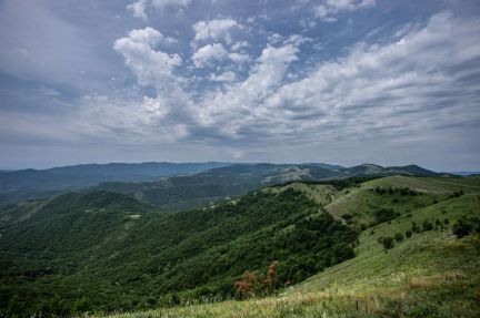 Индивидуальные, групповые экскурсии, гид  Армавир