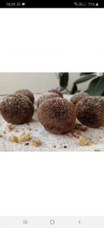 Пирожное Картошка  Армавир