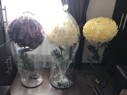 Ростовые цветы  Армавир