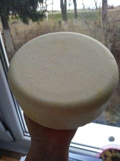 Домашние сыры  Армавир